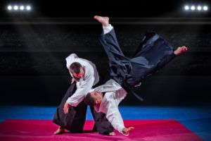 stage d'armes aikido du rhône