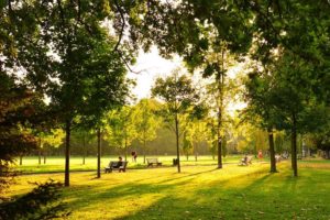 Parc-Tete-Or-Lyon