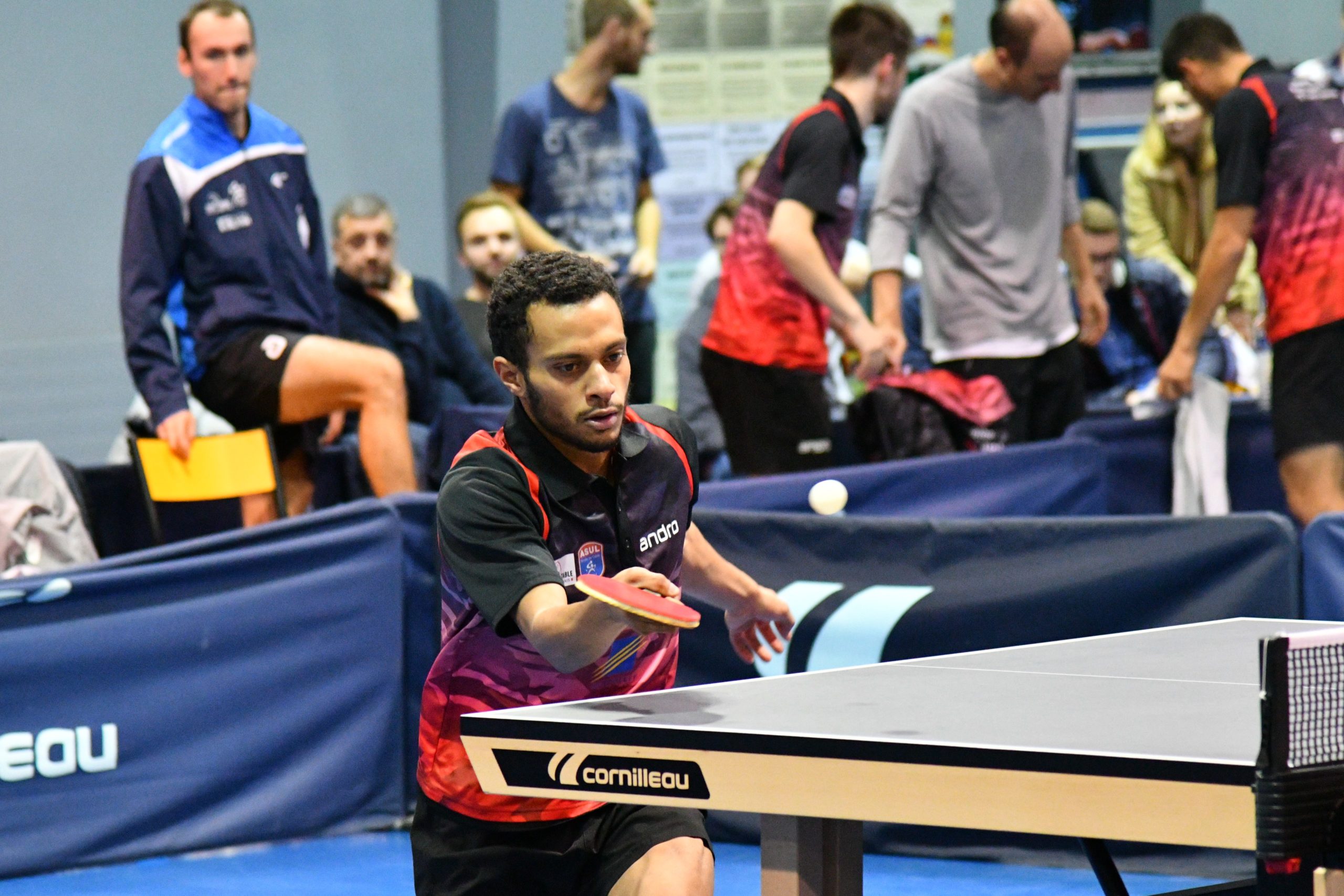 Tennis de table - Nationale 2 - Avec les équipes du TT Saint-Jeannais/ASU  Lyon VIIIe. Les garçons annoncent la couleur, pas les filles